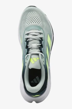 adidas Sport Performance Løbesko Questar 3 M