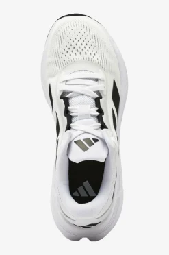 adidas Sport Performance Løbesko Questar 3 M