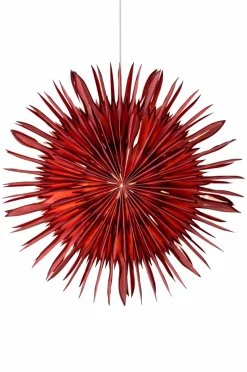 Alde & Lind Desiré D50