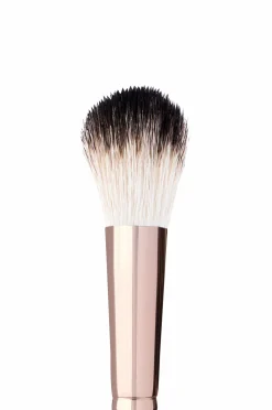 Anastasia Brush A23