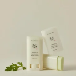 Beauty of Joseon Matte sun stick Mugwort + Camelia 18 g