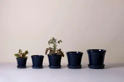 Bergs Potter Krukke med underskål Københavner GLAZED, diameter 21 cm