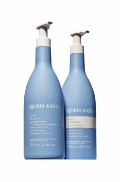 Björn Axén Repair Shampoo