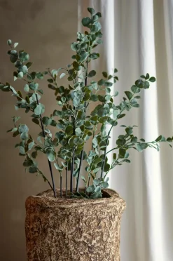 Bloomingville Eucalyptus Plante