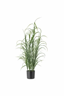 Bloomingville Grass Plante