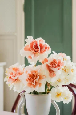 Boråstapeter Tapet Skogsstjärna