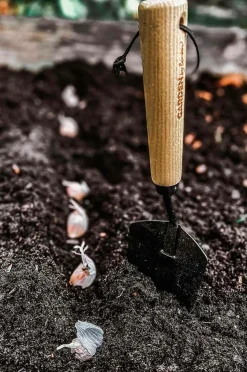 by Benson Plantespade