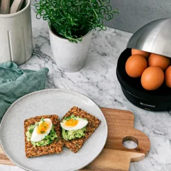 Champion Nordic Æggekoger CHEB100