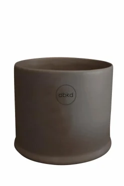 DBKD Krukke Astillbe Small