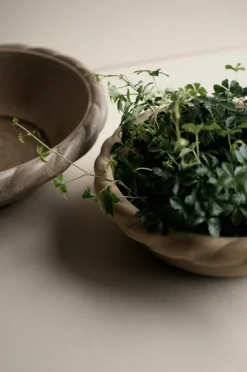 DBKD Twine Tallerken