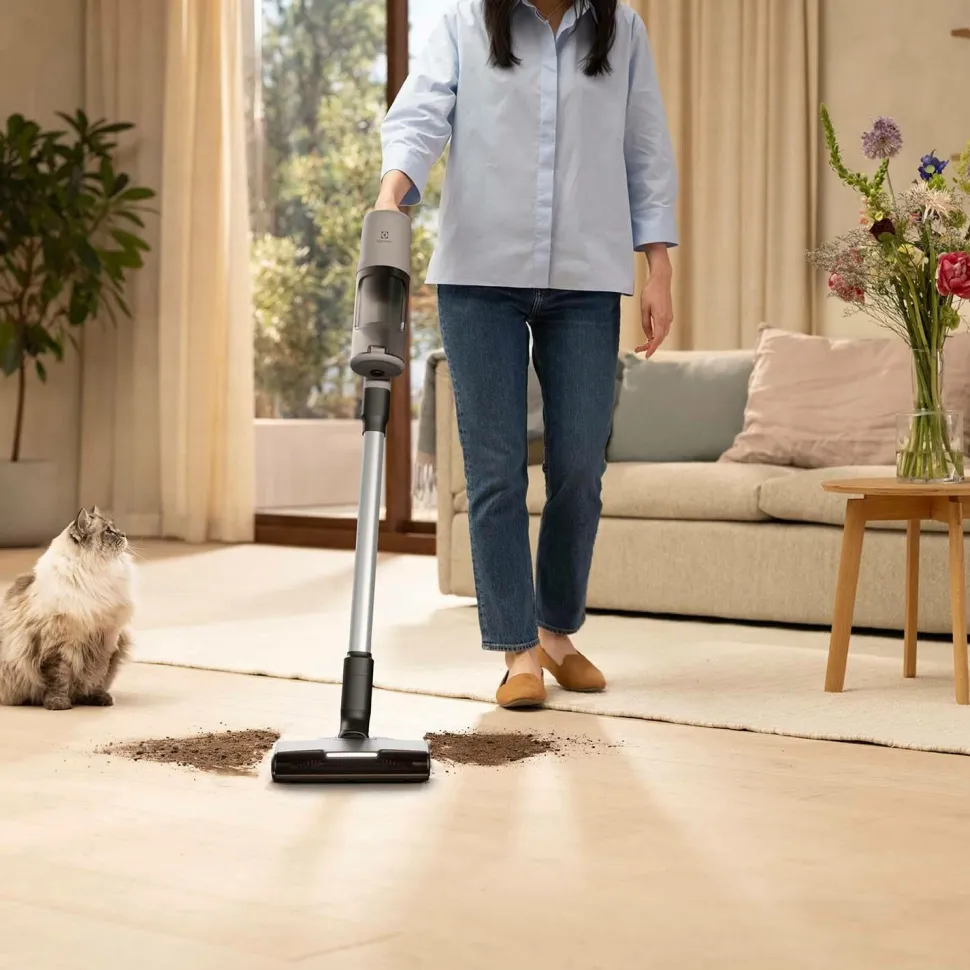 Electrolux Skaftstøvsugere EP61AB21UG