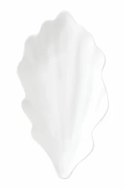 Ellos Home Fad Sea Shell