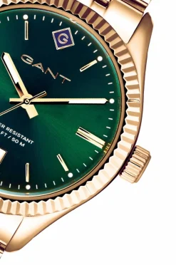 Gant Sussex IPG Green/Gold