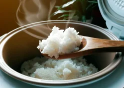 Gastroback Design Riskoger