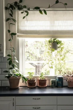 Hasta Liftgardin Lina