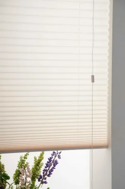 Hasta Plisségardin Accord