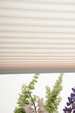 Hasta Plisségardin Accord