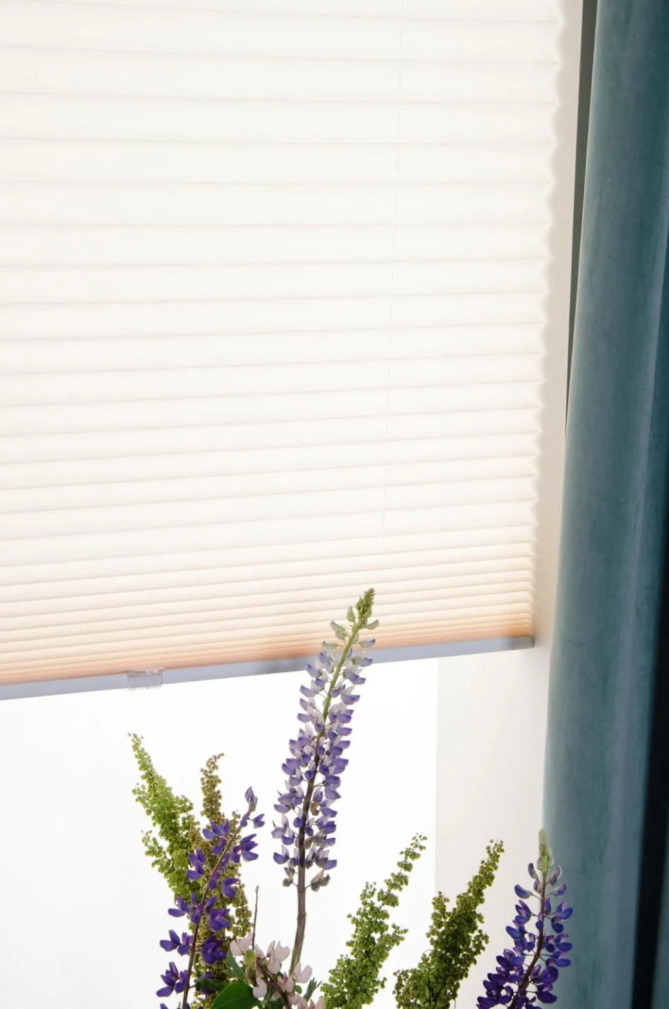 Hasta Plisségardin Elevate