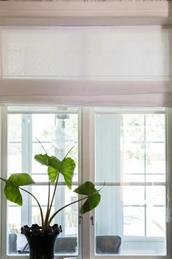 Himla Roman Blind Sunday