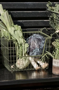 House Doctor Korg, Hdtaw