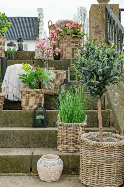 House Nordic 2 runde kurve Gili