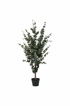 House Nordic Eukalyptustræ