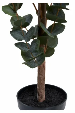 House Nordic Eukalyptustræ