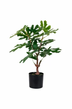 House Nordic Figentræ