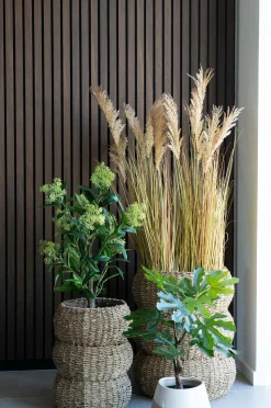 House Nordic Figentræ