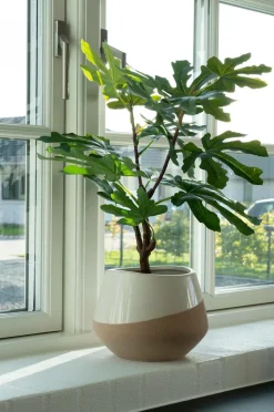 House Nordic Figentræ