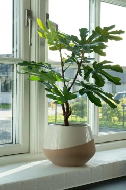 House Nordic Figentræ