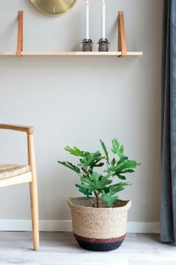 House Nordic Figentræ