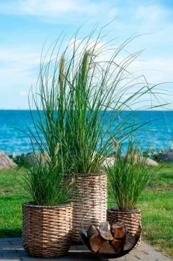 House Nordic Krukke HANOI sæt med 3