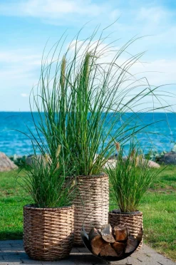 House Nordic Kurv Tires