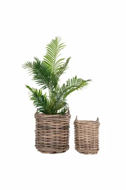 House Nordic Kurve Burton