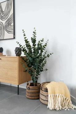 House Nordic Kurve Erba - sæt med 2