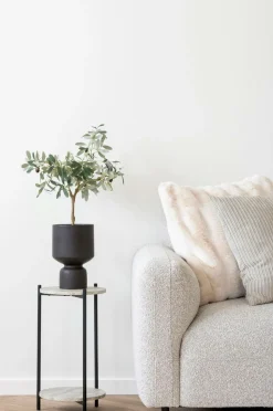 House Nordic Oliventræ