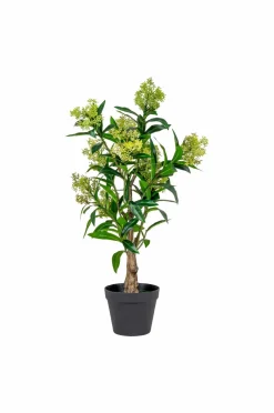 House Nordic Vinterbær