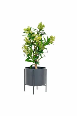 House Nordic Vinterbær