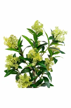 House Nordic Vinterbær