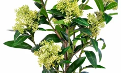 House Nordic Vinterbær