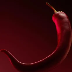 Hugo Boss The Scent Elixir Parfum