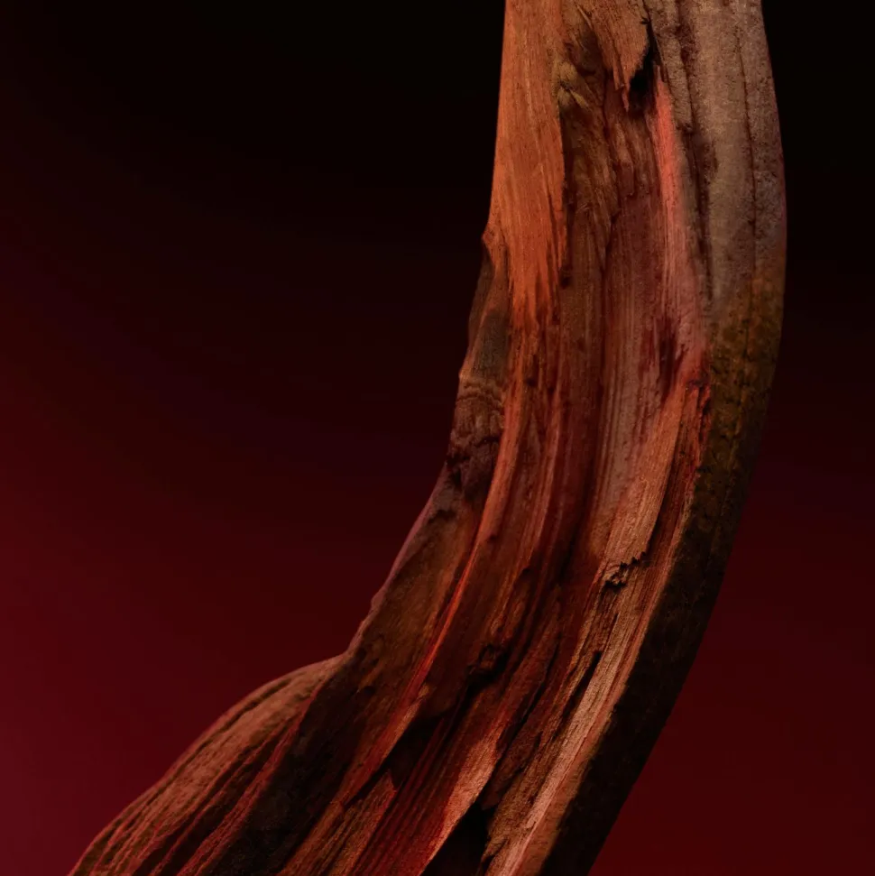 Hugo Boss The Scent Elixir Parfum