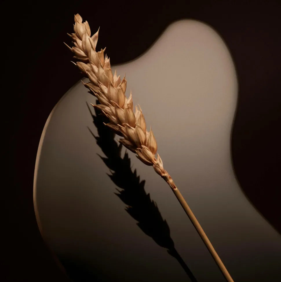 Hugo Boss The Scent Magnetic Edp