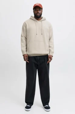 Jack & Jones Hættetrøje jjeSoho Sweat Hood Pls