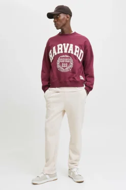 Jack & Jones Sweatpants jpstKane Bradley Uncuffed