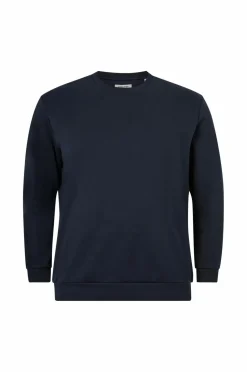 Jack & Jones Sweatshirt jjeBradley Sweat Crew Noos Pls