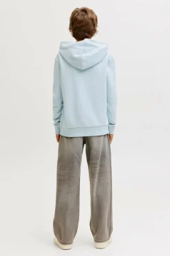 Jack & Jones Junior Hættetrøje jjeCaleb Varsity Sweat Hood Noos JN