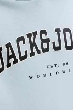 Jack & Jones Junior Hættetrøje jjeCaleb Varsity Sweat Hood Noos JN