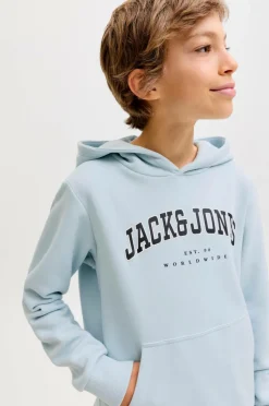 Jack & Jones Junior Hættetrøje jjeCaleb Varsity Sweat Hood Noos JN